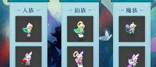 嘉年华爆料讲解视频,视频爆料背后的精彩瞬间